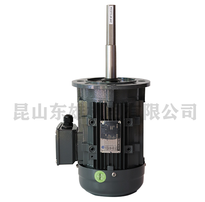 上海2HP long axis motor